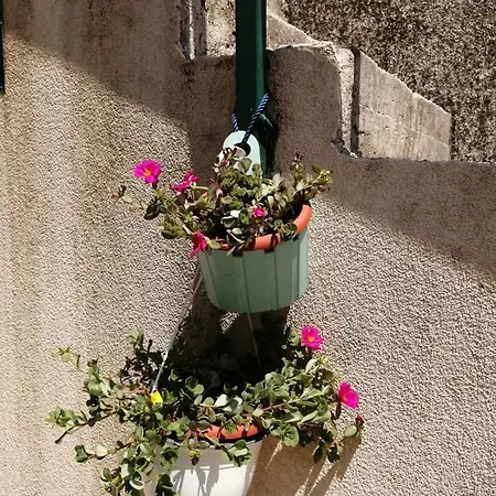 Viking - In The Old Town Of * ספליט