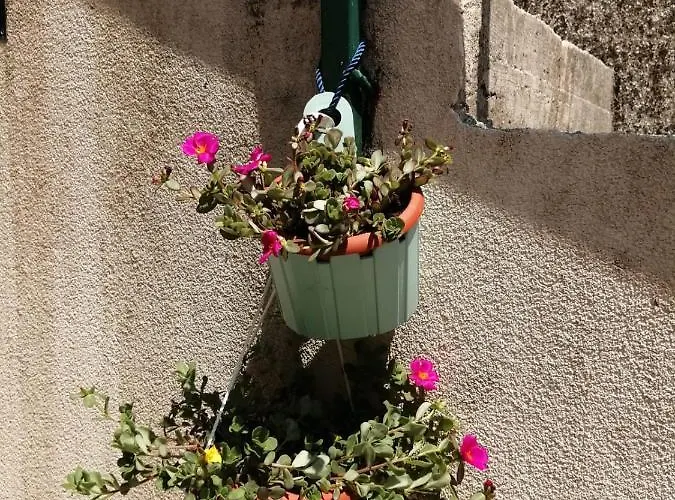 Viking - In The Old Town Of * Split